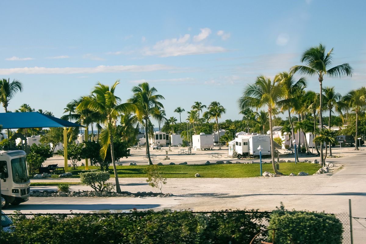 Travel trailers and motorhomes parked at a palm-landscaped RV resort
